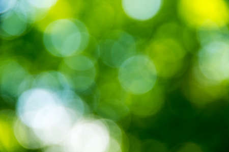 Natural blurred background.の写真素材