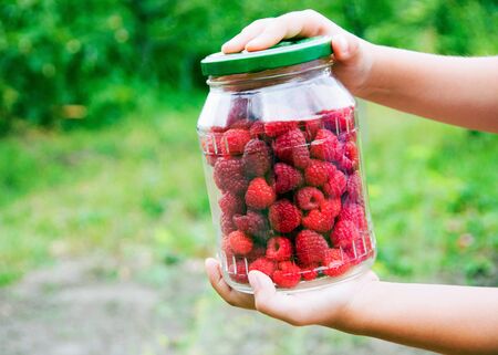 raspberriesの写真素材
