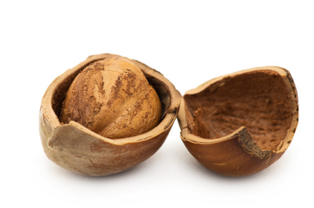 Close up of fresh hazelnuts against white background