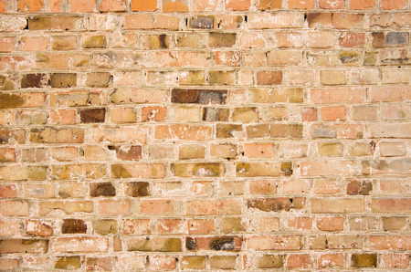 brick wallの写真素材