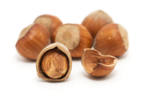 Hazelnuts on white backgroundの写真素材