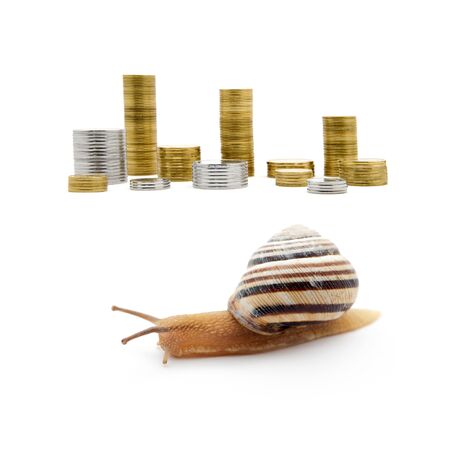 Snails and coinsの写真素材