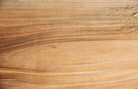 Texture of wood background closeup