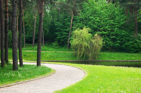 path through the parkの写真素材