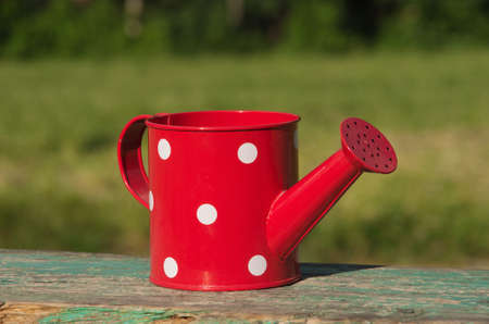 red watering can with white polka dot on green backgroundの写真素材