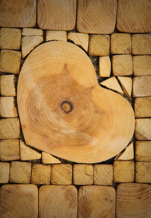 Wood texture of cut tree trunk, close-upの写真素材