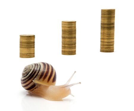 Concept: racing for the money, Snails and coinsの写真素材