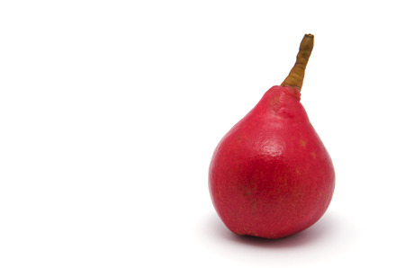 The red pearの写真素材