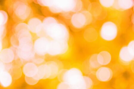 autumn background with sunny raysの写真素材