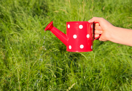 red watering can with white polka dot on green backgroundの写真素材