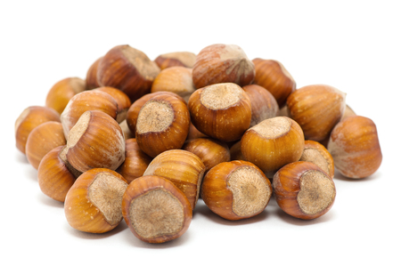 Hazelnuts on white backgroundの写真素材