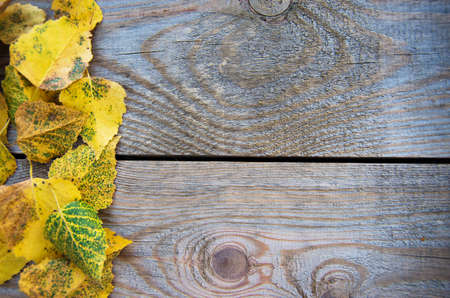 Autumn background with leaves on wooden boardの写真素材