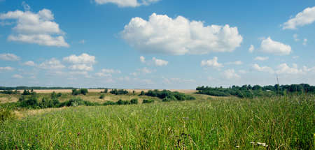 field of grass and perfect sky