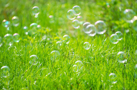 soap bubbles against the grass backgroundの写真素材
