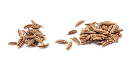 Caraway isolated on white background.の写真素材