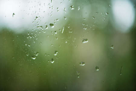 Rain drops on window with green tree in background