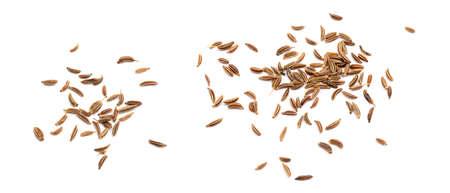 Caraway isolated on white background.の写真素材
