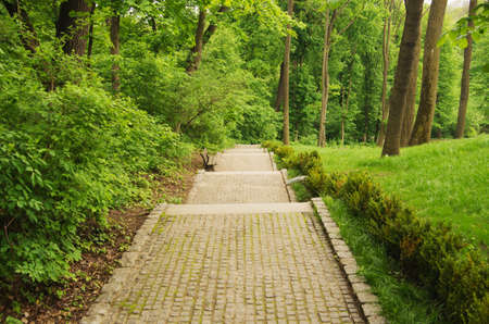 Stone pathway in the green parkの写真素材