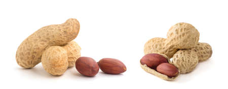 Dried peanuts on the white background.の写真素材