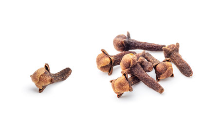 spice cloves isolated on white backgroundの写真素材