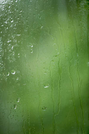 Rain drops on window with green tree in backgroundの写真素材