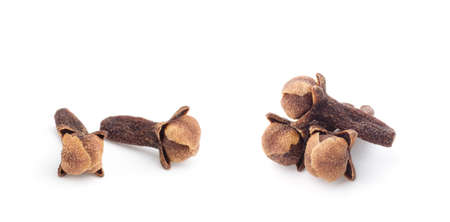 Spice cloves on white backgroundの写真素材