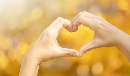 Hands in heart shape framing on nature backgroundの写真素材