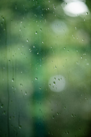 Rain drops on window with green tree in backgroundの写真素材