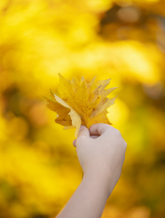 female hand holding yellow maple leaf against nature blurred background with sun light rays.の写真素材