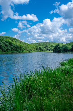 Beautiful summer landscape on the lake, the green grass and blue sky.の写真素材