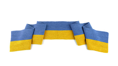 Ukraine flag state symbol isolated on background national banner.の写真素材