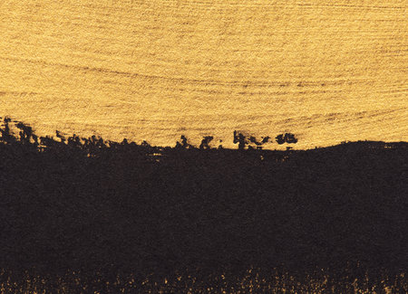 Gold Texture Paint Stain Illustration. Hand drawn brush stroke design element.の写真素材
