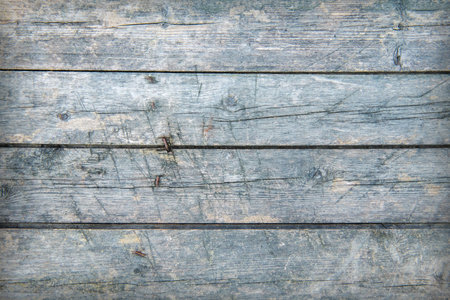 Wood plank gray texture backgroundの写真素材