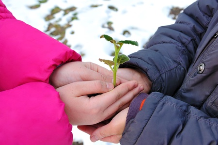Hands of boy and girl keep green sprig の写真素材