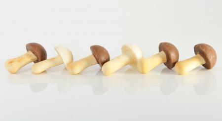 Cookies in  shape of mushrooms on  white background with reflection の写真素材
