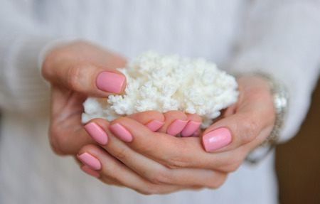 White sea coral in female nice handsの写真素材