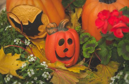 Halloween outdoor decorationの写真素材