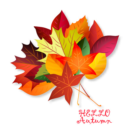 Vector illustration of color autumn leaves on white backgroundのイラスト素材