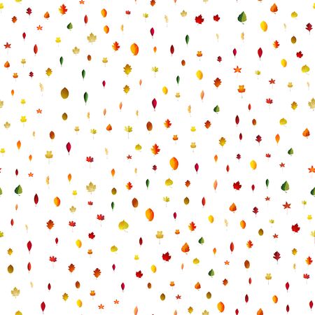Seamless background autumn colorful leaves . Vector patternのイラスト素材