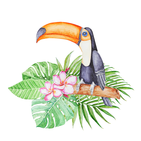 Cute tropical tucan sitting on the  branch in tropical leaves . Hand panted watercolor illustration.の写真素材