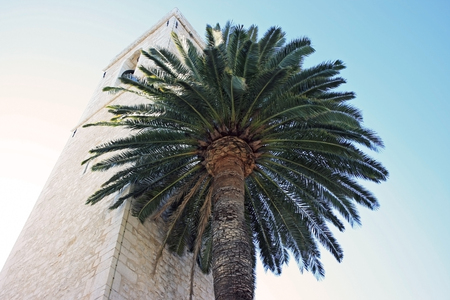 Neigboursの写真素材