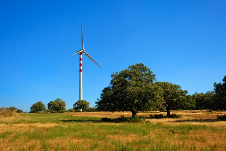 Wind turbins producing aeolian energy under blue sky on a green field with chestnut trees in Calabriaの写真素材