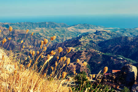 Wonderful view from Bova Superiore in Calabria with dry flowers on the foregroundの写真素材
