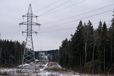 An overhead power line support with wires, standing near the forest. Winter landscape. Horizontal photo.の写真素材