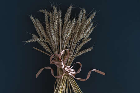 A bouquet of wheat ears tied with a satin ribbon on a dark background. Horizontal photo.の写真素材
