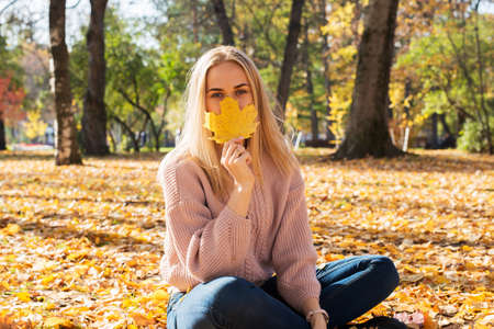 Young pretty woman is sitting on ground in autumn park with leaves in her hands.の写真素材