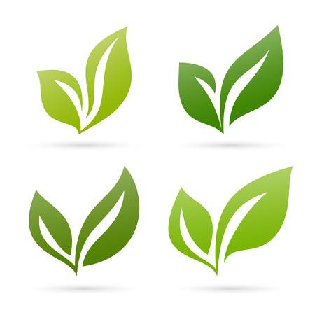 Leaves set 1のイラスト素材