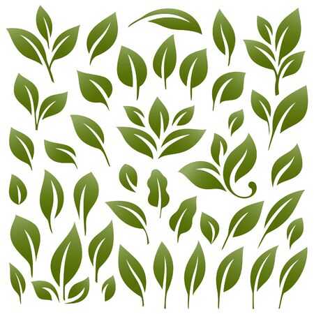 Leaves set 2のイラスト素材