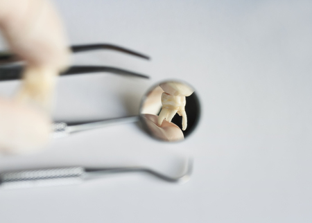 Pulled out a bad tooth in the forceps of the dentistの写真素材