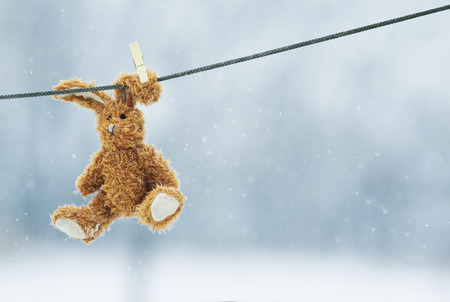  soft toy rabbit hanging from a rope wearing a clothespin on the earの写真素材